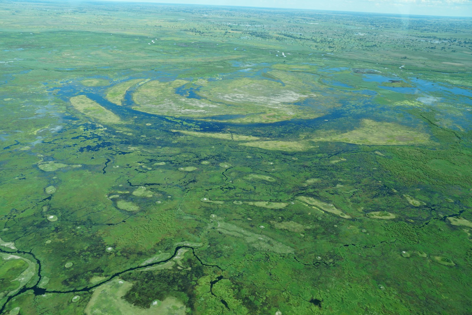 Aerial view of the Okavango Delta with winding water channels through green wetland
